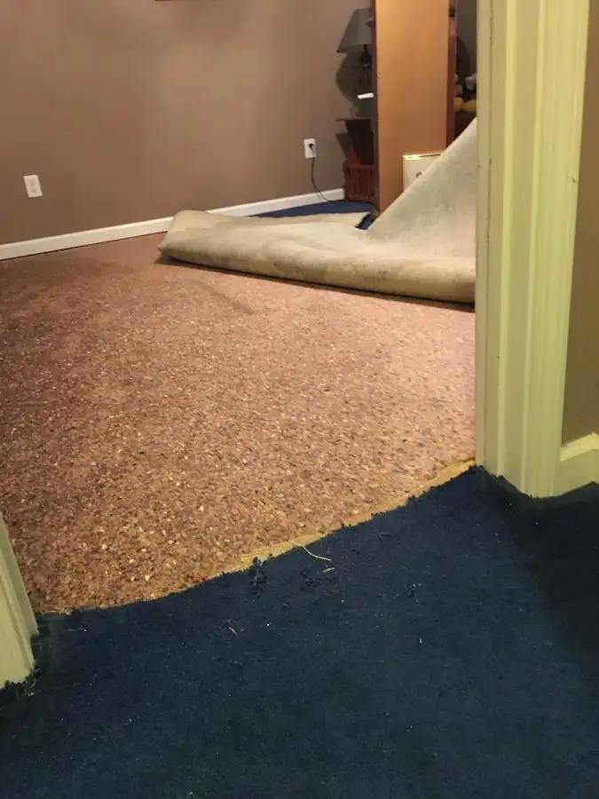 Carpet pad removal revealing water damage during Drying & Dehumidification in Cape Canaveral